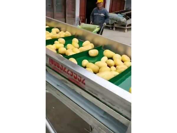 土豆清洗视频